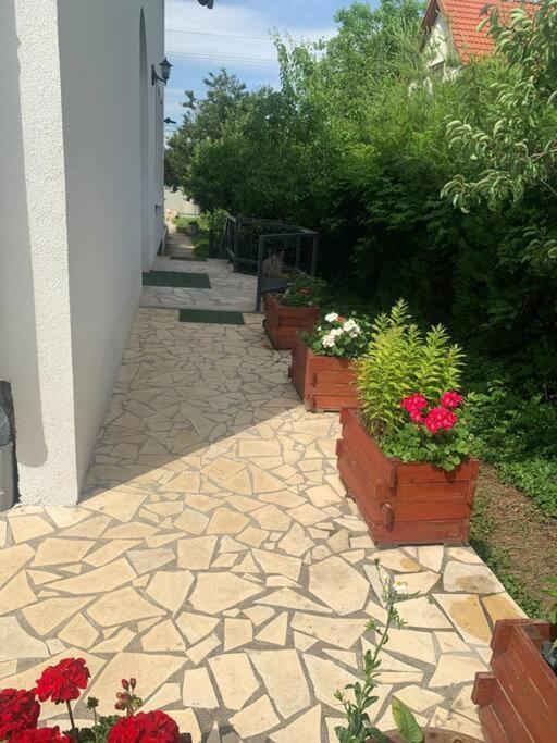 Erd - Csendes, Kenyelmes Csaladi Haz Daire Dış mekan fotoğraf